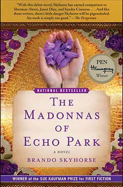 The Madonnas of Echo Park book cover