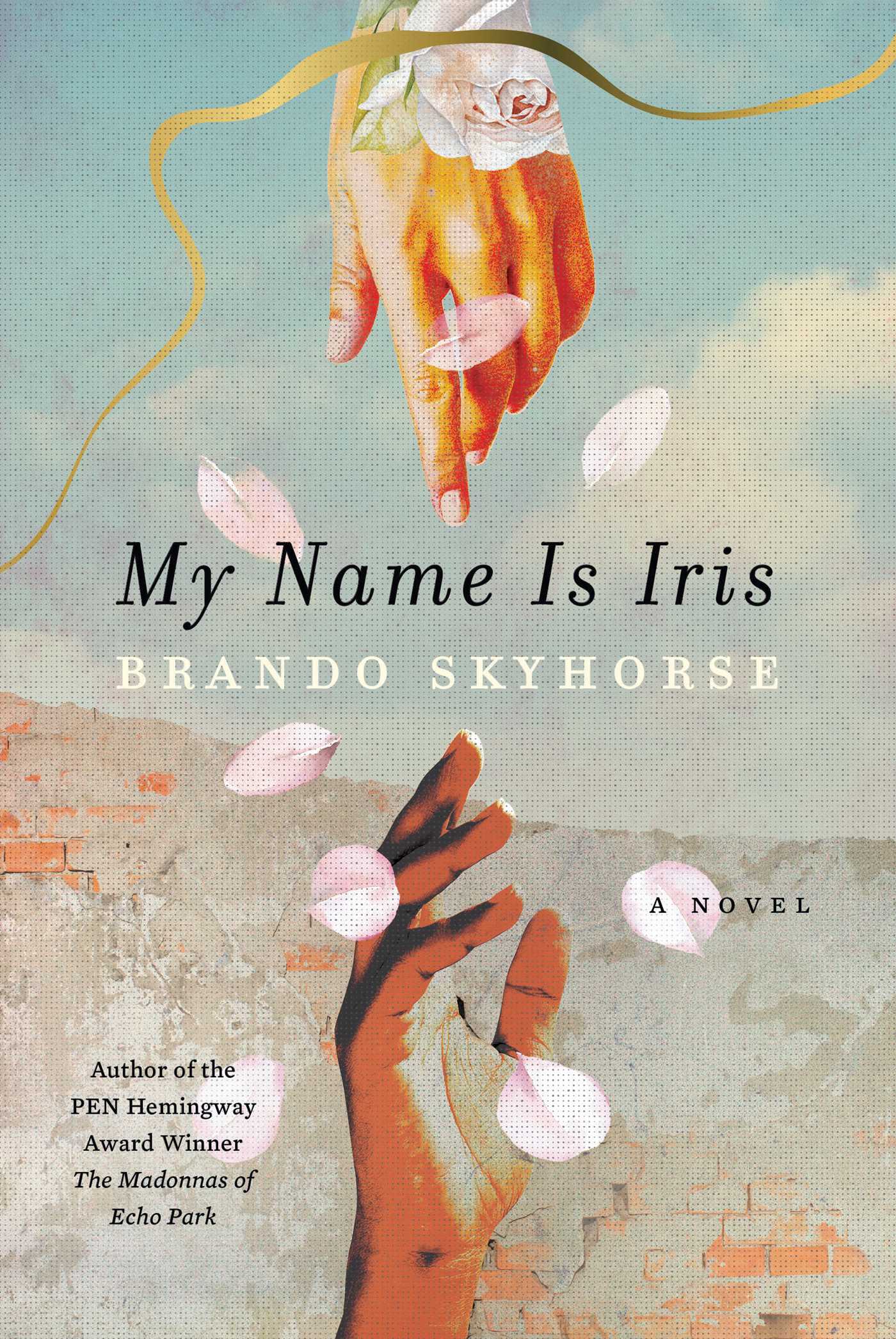 My Name Is Iris book cover
